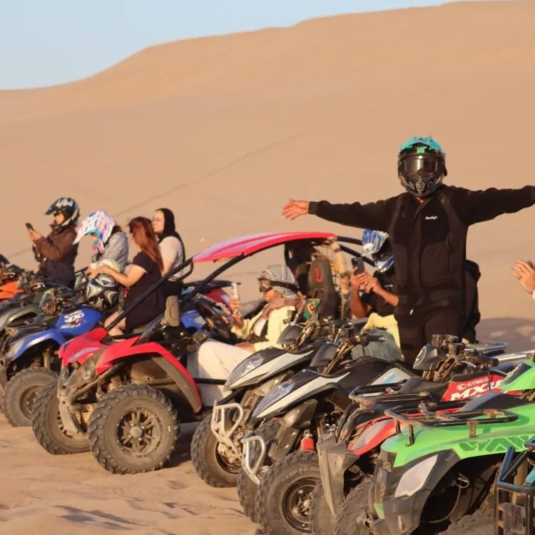Desert Trails