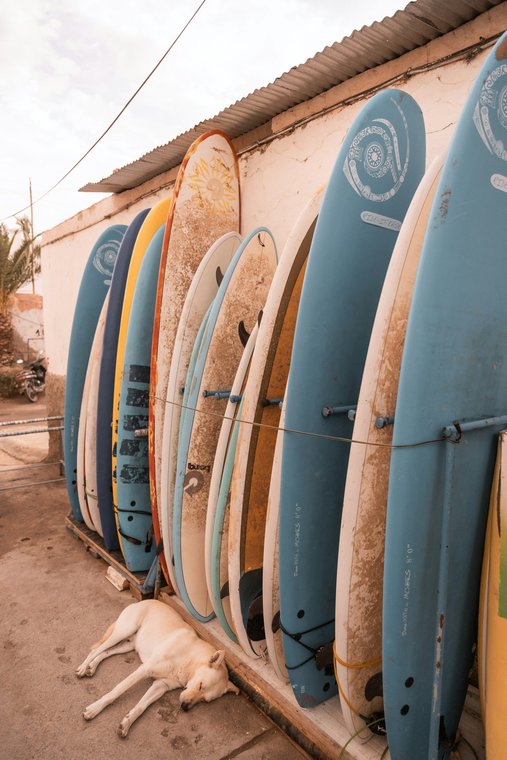 surf equipment taghazout