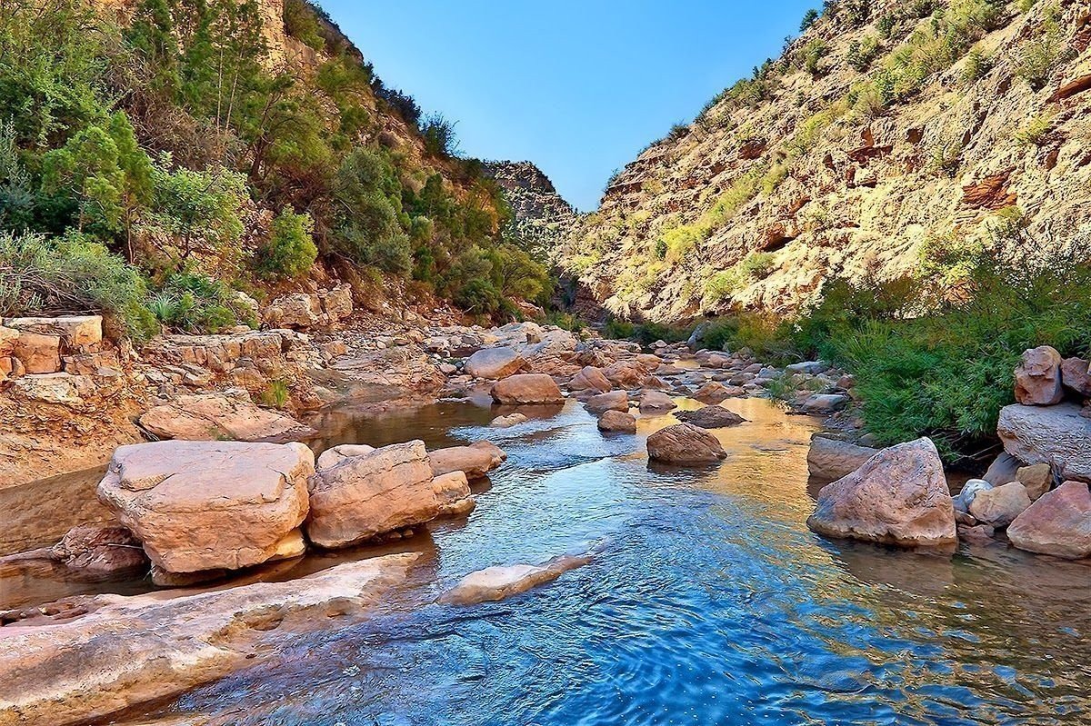 Paradise Valley Agadir Morocco natural oasis with date palms
