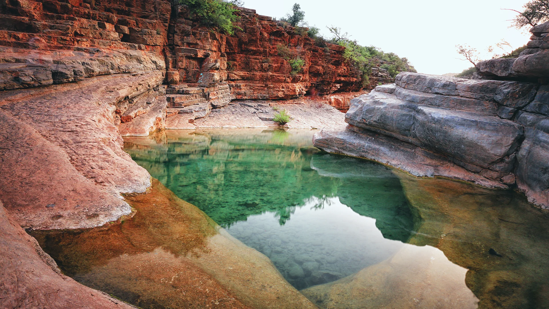 Travelers exploring the hidden pools of Paradise Valley near Agadir