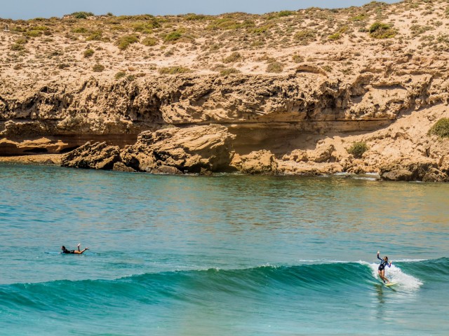 Surf Condition Updates