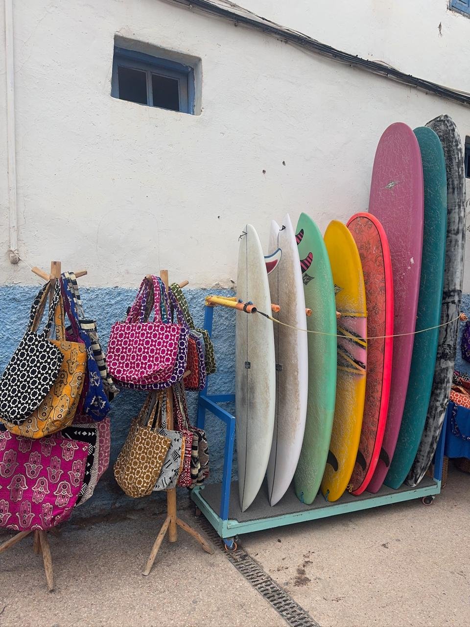 WhatsApp Image 2026-02-14 at 9.50.13 AM