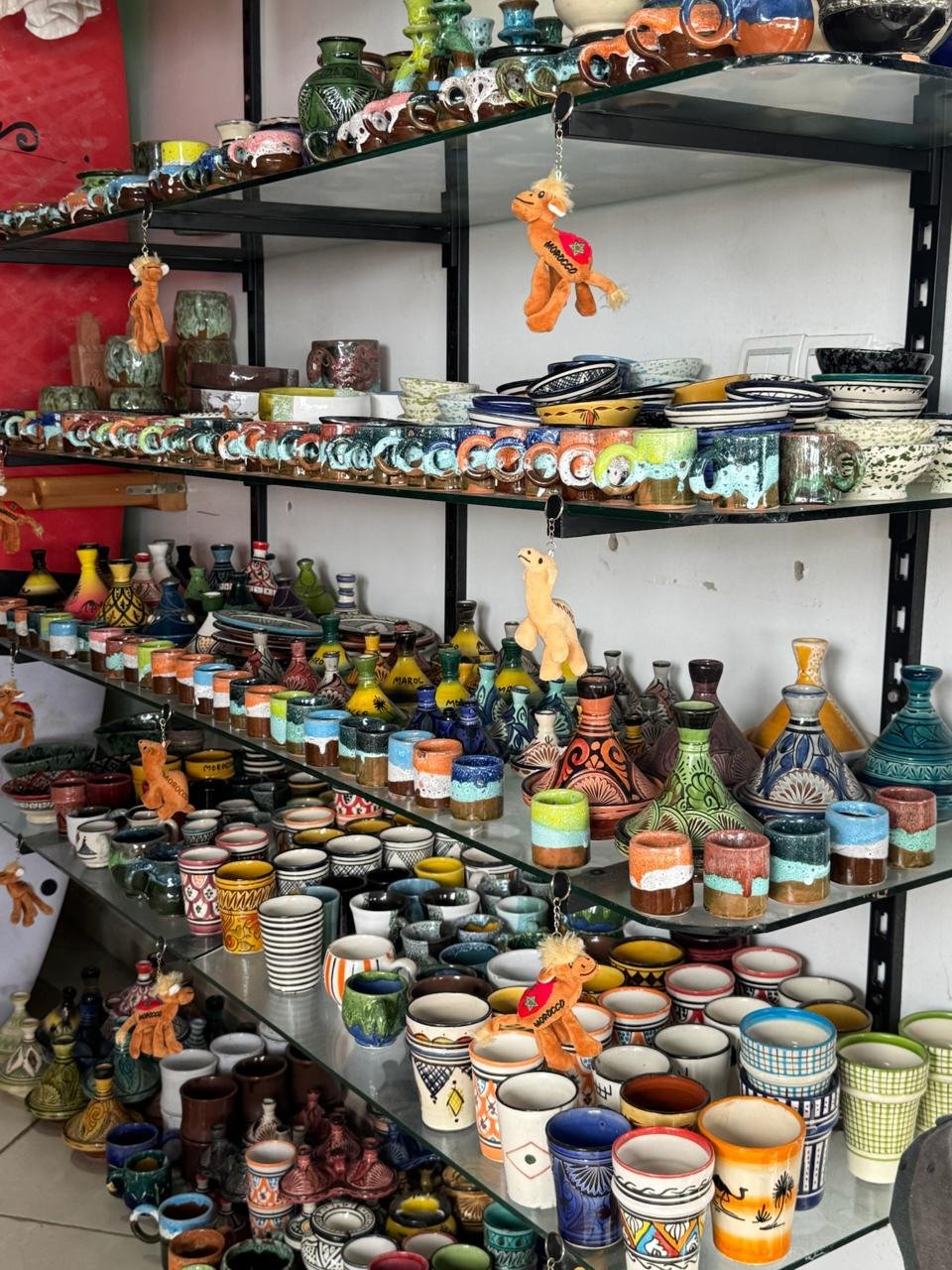 WhatsApp Image 2026-02-14 at 9.50.14 AM (2)