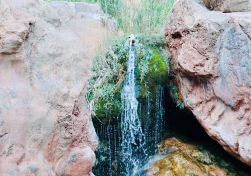 Tourists swimming and relaxing in the emerald pools of Paradise Valley during a day trip from Taghazout